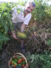 Panos in the Organic Garden