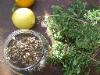 Wild Oregano