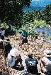 Itai Hauben, Ecology Action Intern from Israel, Teaching Composting Class (photo by Nikki Rose)