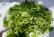 Marouli (lettuce salad)