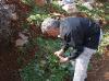 Panos Collecting Horta