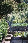 Research Garden Tiers