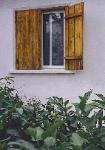Window on the Organic Garden in Evros, Greece